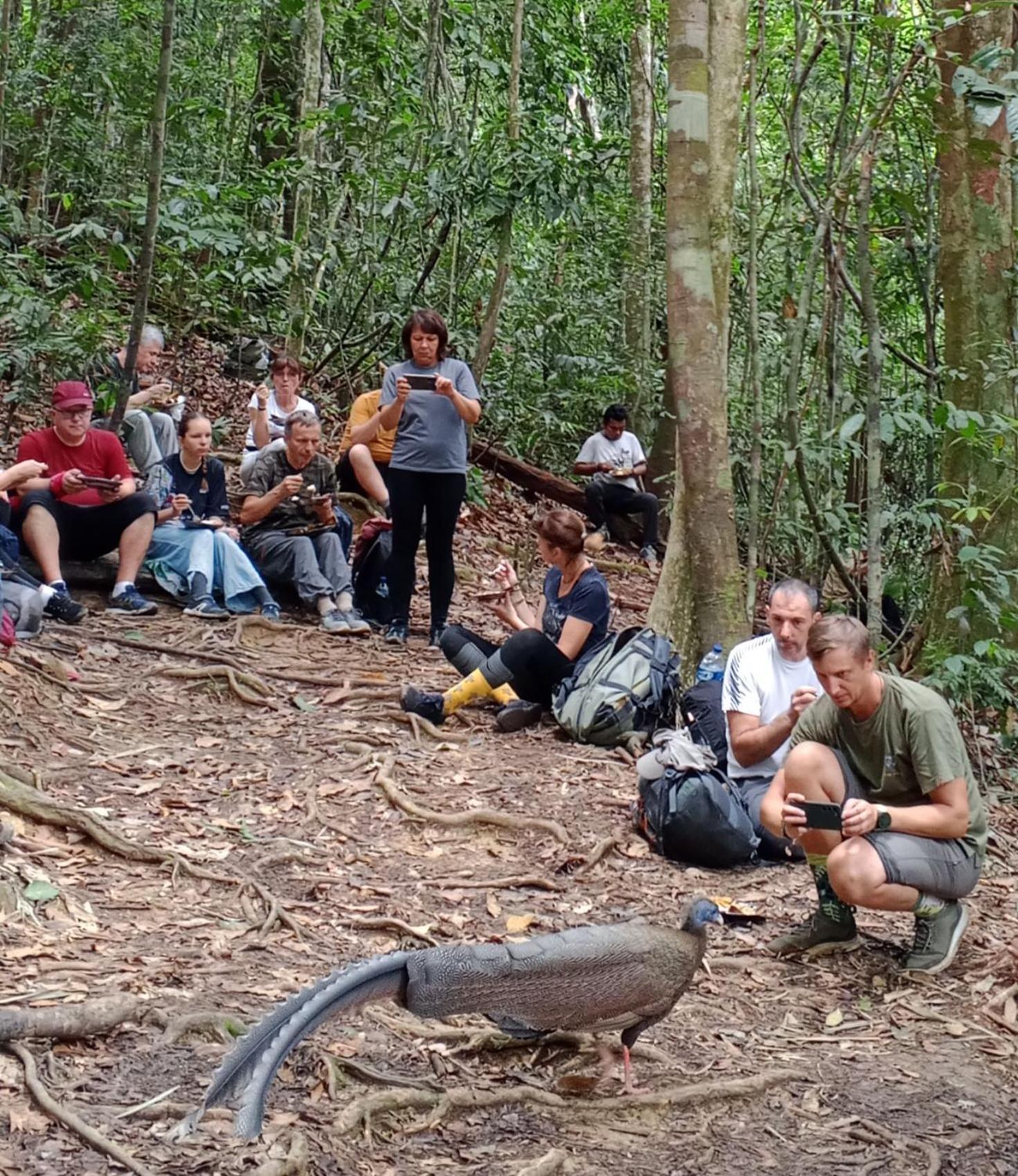 Sama Sama Homestay & Trekking Only Stay Here Book Trekking And Transport With Us Bukit Lawang Eksteriør billede