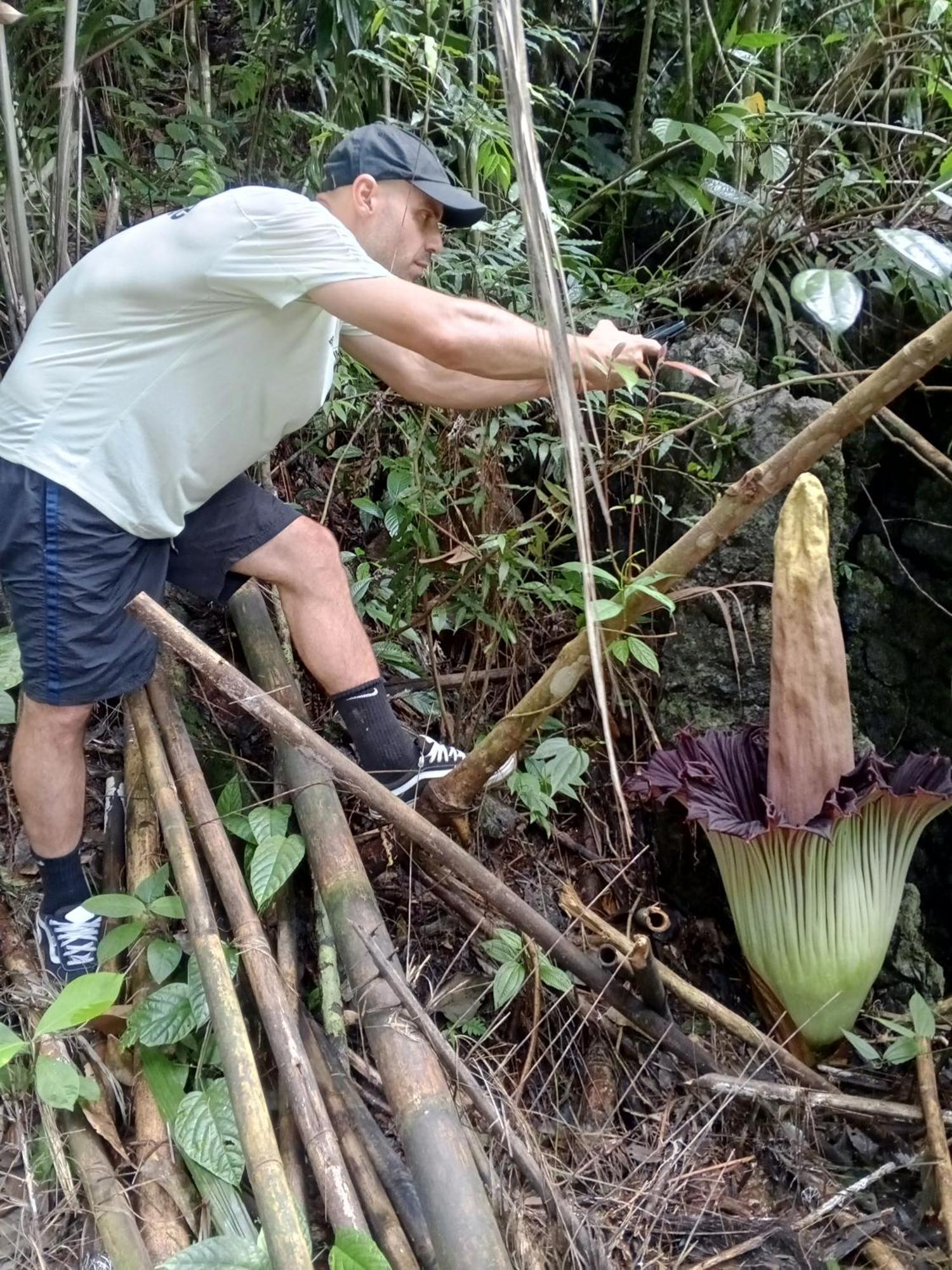 Sama Sama Homestay & Trekking Only Stay Here Book Trekking And Transport With Us Bukit Lawang Eksteriør billede