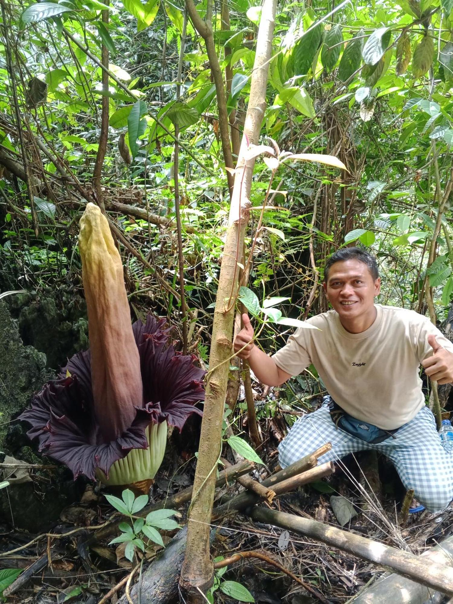 Sama Sama Homestay & Trekking Only Stay Here Book Trekking And Transport With Us Bukit Lawang Eksteriør billede