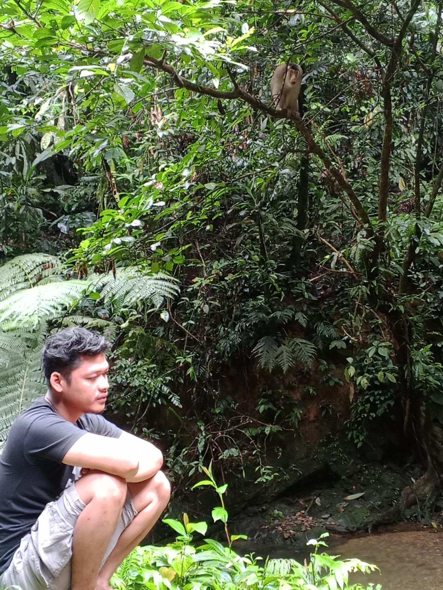 Sama Sama Homestay & Trekking Only Stay Here Book Trekking And Transport With Us Bukit Lawang Eksteriør billede