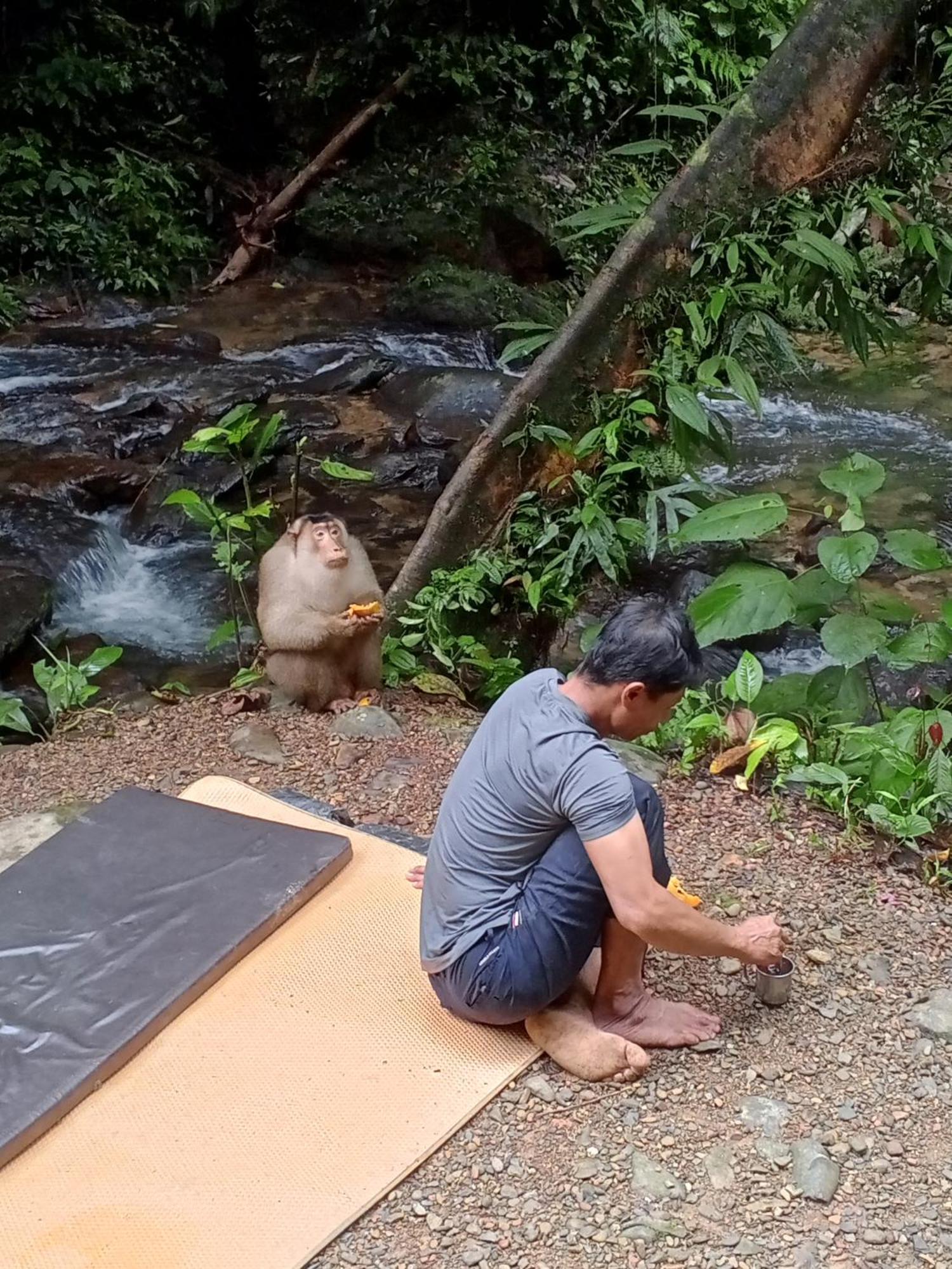Sama Sama Homestay & Trekking Only Stay Here Book Trekking And Transport With Us Bukit Lawang Eksteriør billede