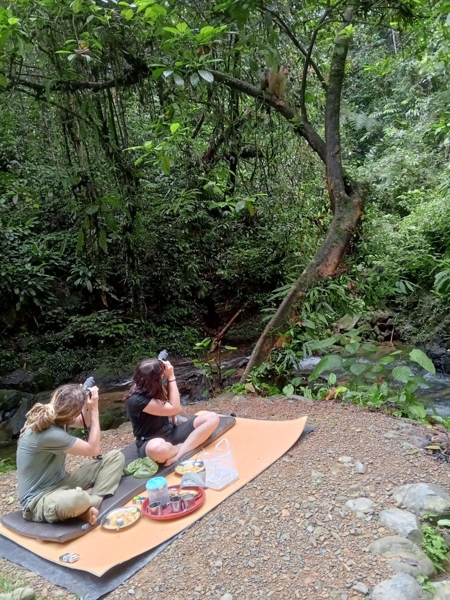 Sama Sama Homestay & Trekking Only Stay Here Book Trekking And Transport With Us Bukit Lawang Eksteriør billede